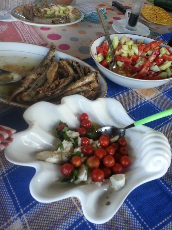 לינה וארוחת בוקר Dubrava  Bellavista Peljesac Peninsula מראה חיצוני תמונה